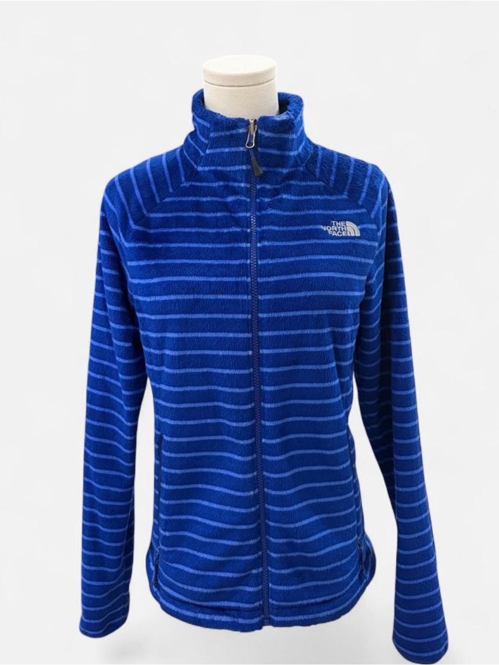 The North Face Women's Royal Blue Striped Fleece Jacket